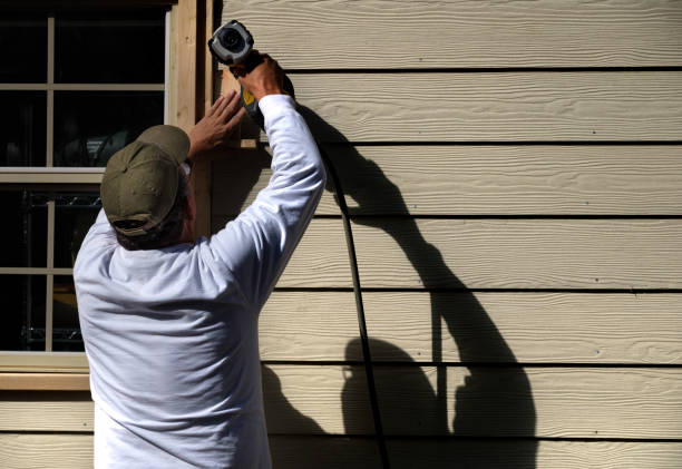 Best Siding Maintenance  in Westwood, MI