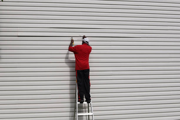 Best Aluminum Siding Installation  in Westwood, MI